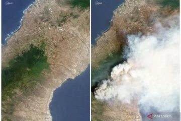 Bencana Membara: Situasi Darurat France vs Spain Akibat Kebakaran Hutan Dahsyat
