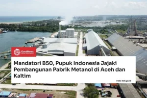Dorong Mandatori B50, Pemerintah Percepat Pembangunan Dua Pabrik Metanol di Jawa Timur dan Kalimantan