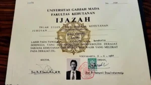 Ijazah Jokowi dan Teka-Teki yang Tak Pernah Berakhir: Mengapa Pembuktian Fisik Dianggap Bukan Solusi?