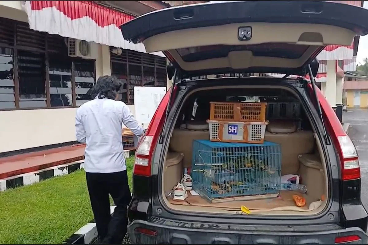 Sopir Honda CR-V ini terancam 15 tahun penjara, barang bukti di kabin sangat kuat
