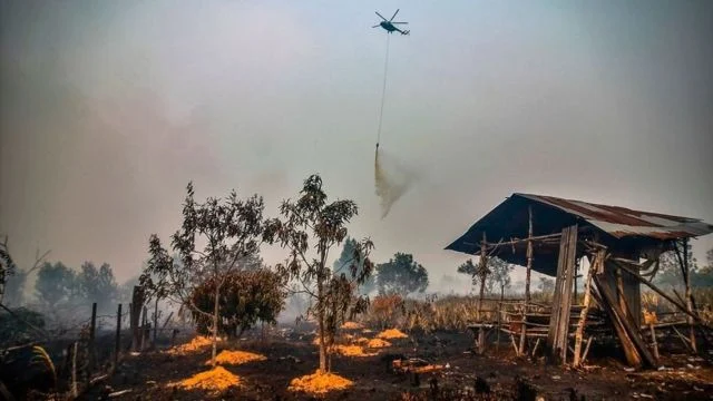 Tragedi Kebakaran Pulomas: Duka Mendalam di Balik Kontroversi Unggahan Media Sosial