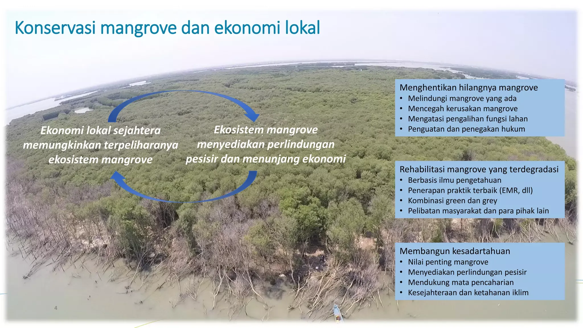 Transformasi Ekonomi Pesisir: Peran Strategis KUPS dalam Menjaga Ekosistem Mangrove