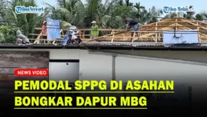 Zulhas Bongkar Skandal Dapur Gaib MBG: Ada yang Sudah Dibangun, tapi Barangnya Tak Ada
