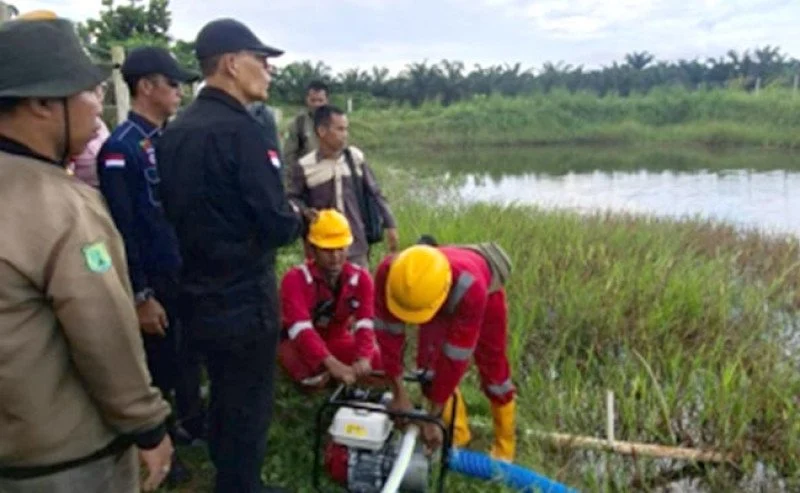 Ancaman Karhutla di Kalimantan: Pemerintah Perketat Pengawasan Perusahaan di Tengah El Nino