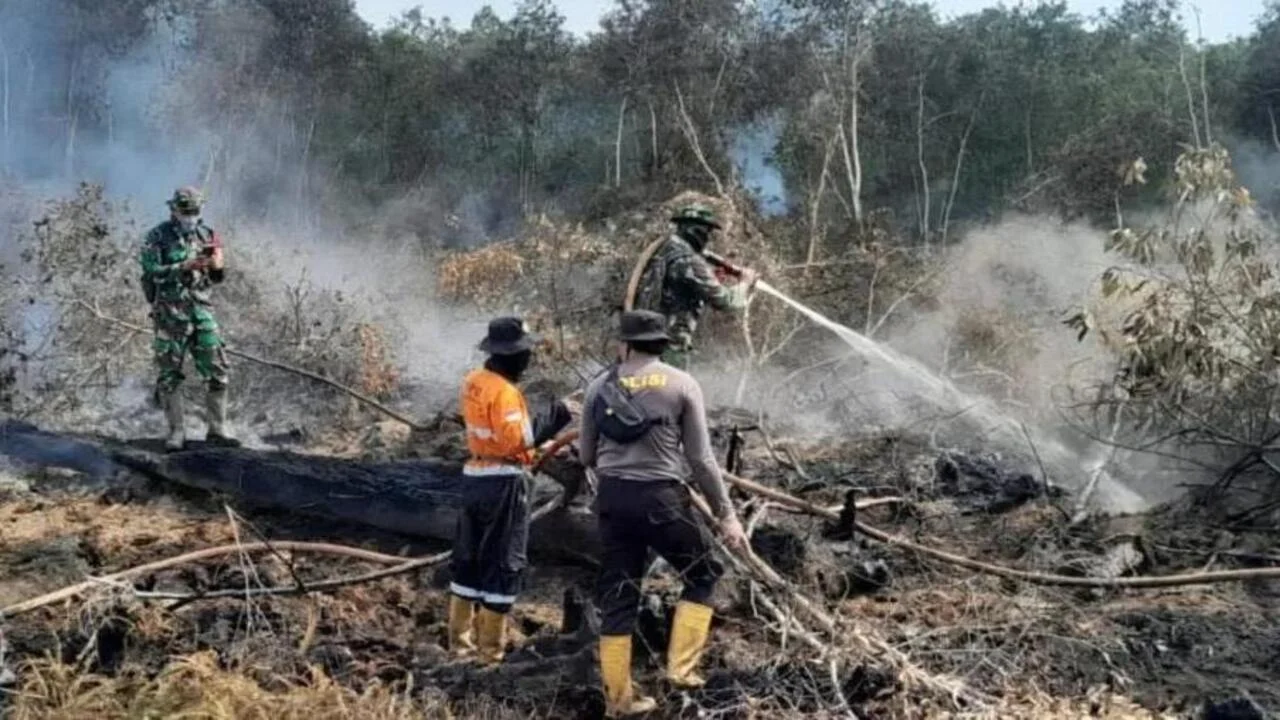 Bayang-bayang panas ekstrem: El Nino kuat intai Samarinda, tiga kecamatan masuk zona merah karhutla
