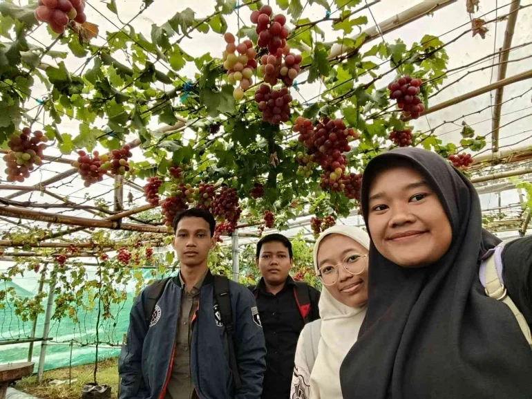 Dari Lapangan Tenis hingga Kebun Anggur: Inspirasi Global yang Mengubah Dunia