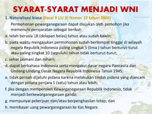 Gelombang Perpindahan WNI dan Pengetatan Naturalisasi: Apa yang Terjadi?