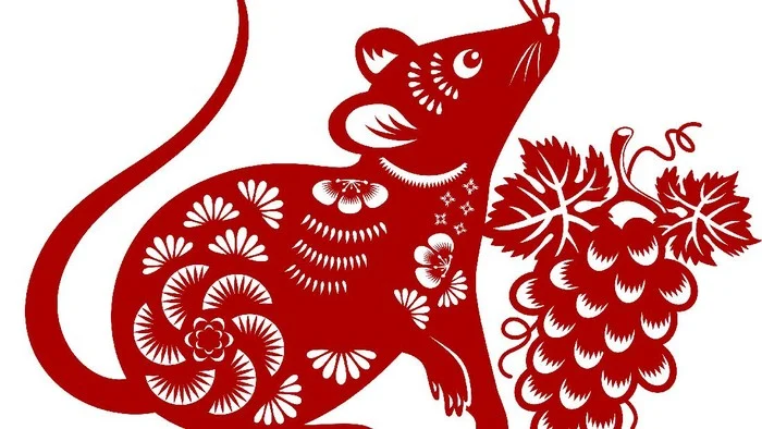Ramalan Shio Tikus Awal September 2026: Cinta Bersemi dan Karier Bersinar