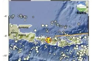 Solidaritas KR-BNN Menguat Pasca Gempa 7,7 Magnitudo, Bagaimana Kondisi Gempa Bali Hari Ini?