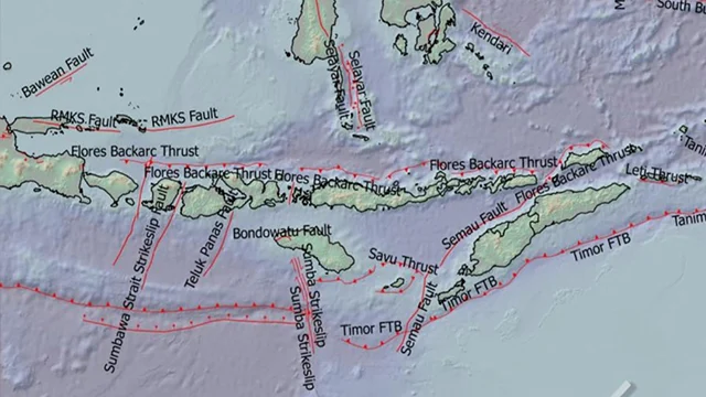 Apa itu Flores Back-Arc Thrust? BMKG Ungkap Kaitannya dengan Gempa Bumi M 7,7 yang Guncang NTT