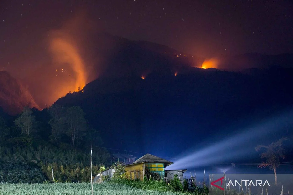 Darurat Karhutla Jawa Timur: Empat Gunung Terbakar Hingga Penutupan Wisata Kawah Ijen