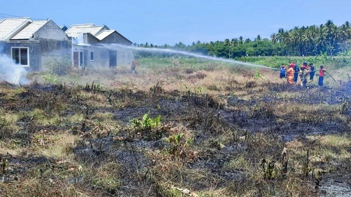 Fenomena Viral Banyuwangi: Dari Kebakaran Lahan hingga Jejak Digital yang Mengguncang Publik