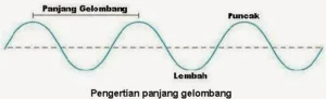 Gelombang Akar Rumput: Warga Pati Kepung Senayan Tuntut Pengesahan RUU Perampasan Aset
