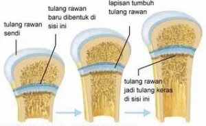 Tragedi Charlie Kirk: Laporan Resmi Ungkap Kelalaian Fatal di Balik Penembakan Kampus