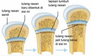Tragedi Charlie Kirk: Laporan Resmi Ungkap Kelalaian Fatal di Balik Penembakan Kampus