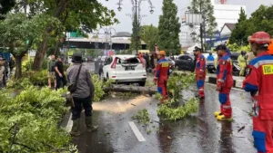 Aksi Tebang Pohon Misterius di Bandung Picu Kemurkaan Farhan, Ojol Jadi Saksi Kunci