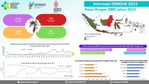 Dunia dalam Angka 808: Dari Lonjakan Kasus DBD di Jakarta hingga Konflik Rusia-Ukraina