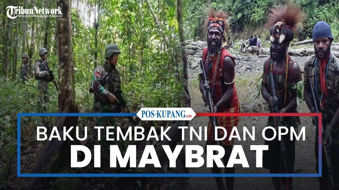 Tegang! Kontak Tembak Prajurit TNI & OPM di Maybrat Papua: Lima Anggota Kelompok Bersenjata Tewas
